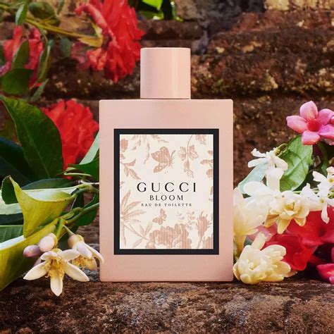 gucci toilet perfume|Gucci bloom perfume.